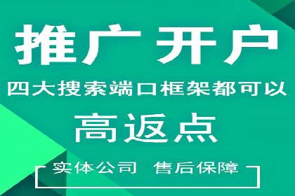 百度推广价格策略：成功案例分享